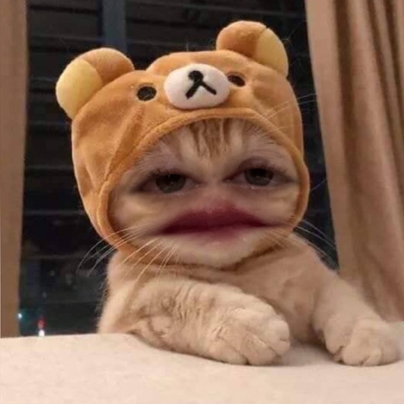 Meet your Posher, Velma - Picture 2 of 2